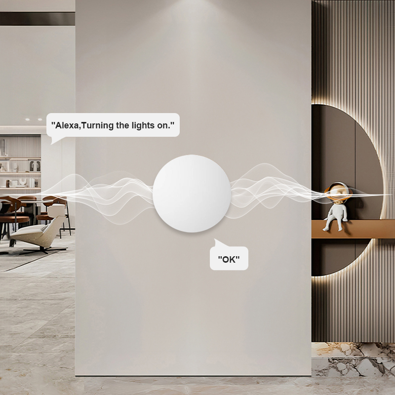 Pulsante Wireless Intelligente - Home Security Alexa recensione e prezzo