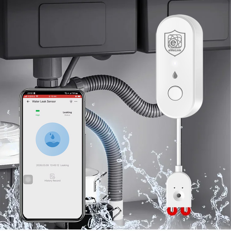 Sensore di Perdite d'Acqua EWe - Home Security Alexa recensione e prezzo