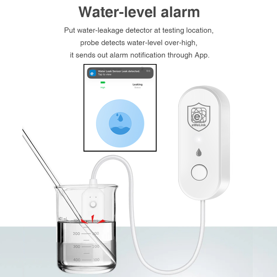 Sensore di Perdite d'Acqua EWe - Home Security Alexa recensione e prezzo