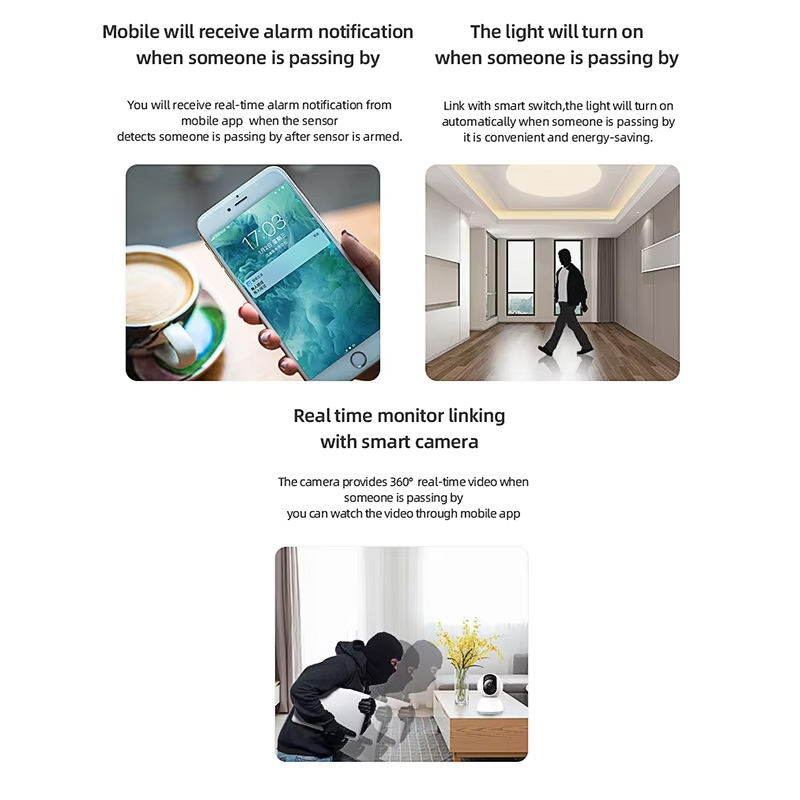 Sensore di Movimento PIR Intel - Home Security Devices recensione e prezzo