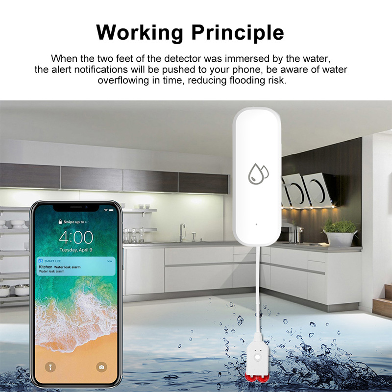 Sensore Allarme Perdite d'Acqu - Home Security Alexa recensione e prezzo