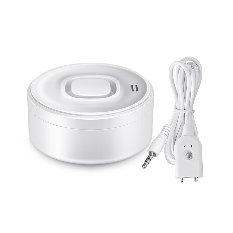 Sensore di Perdite d'Acqua 100 - Home Security Alexa recensione e prezzo