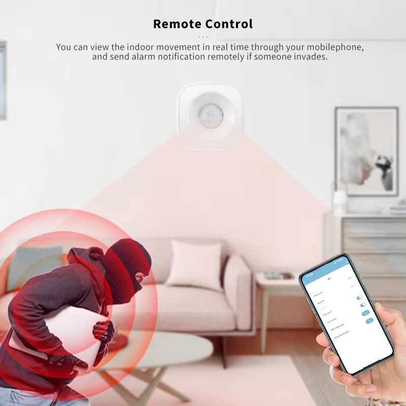 Tuya ZigBee/WiFi Sensore di mo - Home Security Alexa recensione e prezzo