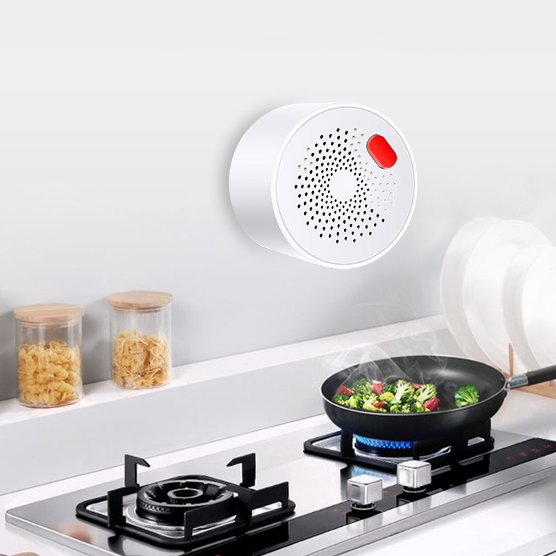Tuya Smart Home Wifi sensore d - Home Security Devices recensione e prezzo