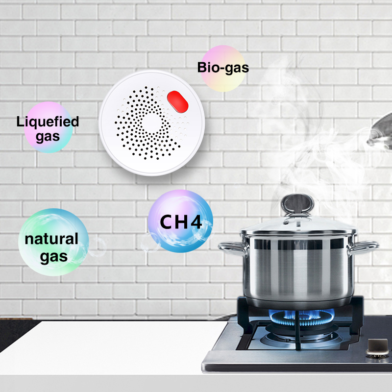 Tuya Smart Home Wifi sensore d - Home Security Devices recensione e prezzo